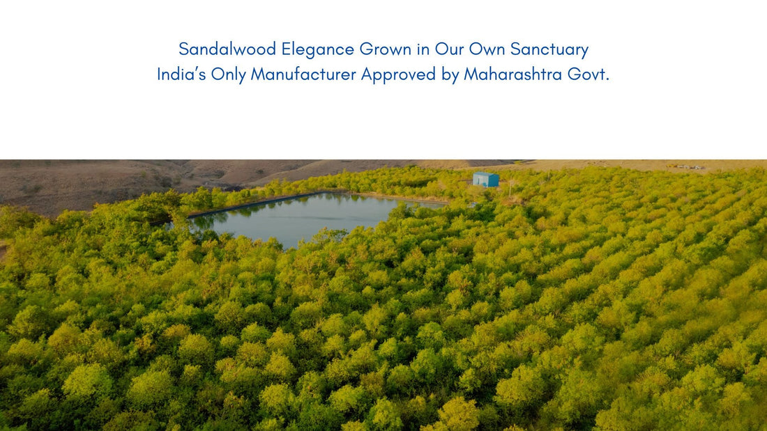 Transparent & Ethical Supply Chain