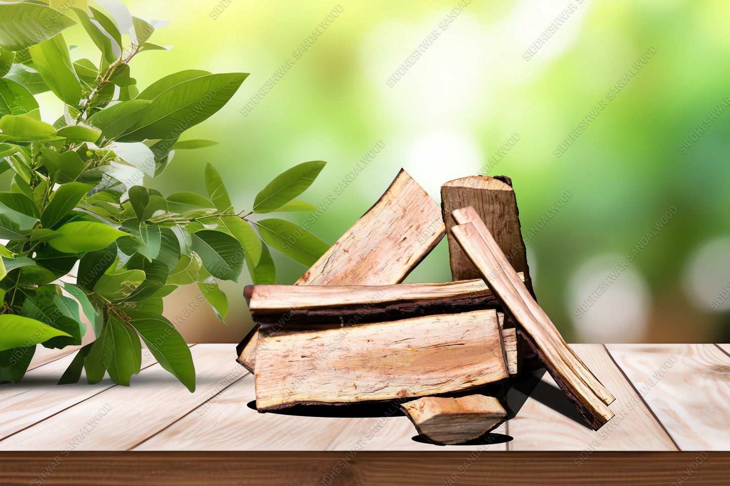 Sandal Sapwood Log